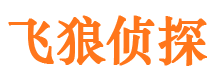 玛纳斯市调查公司